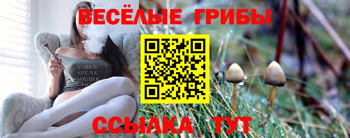 Галлюциногенные грибы мухоморы Усть-Джегута